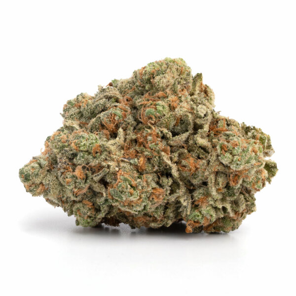 Biscotti Indica Strain Adelaide