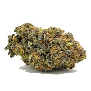 Bubblegum Kush Marijuana
