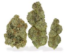 Buy Sativa Weed Online