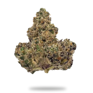 Lemon Haze Marijuana Strain