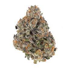 Mag Landrance Marijuana EU