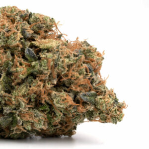 Moby Dick Cannabis EU