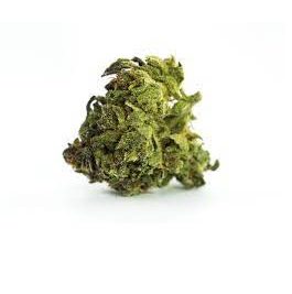 Premium Green Dragon Weed