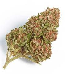 Premium Northern Lights Marijuana