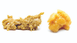 Shop Budder Low Price EU