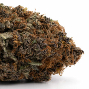 Shop Congo Hybrid Strain