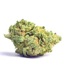 Sour Banana Sherbet Marijuana