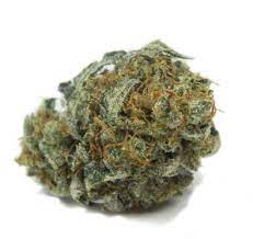 William's Wonder Marijuana EU