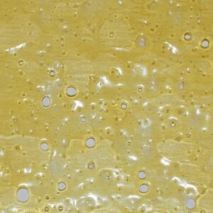 House Shatter Deadhead EU