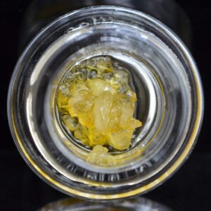 Premium Jelly Buns Marijuana